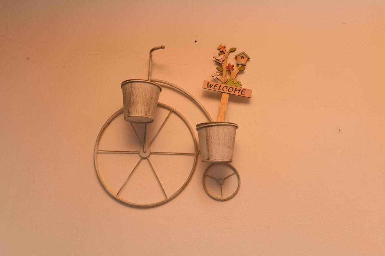 Art Flowers And Culture Misztrász Kültér fotó